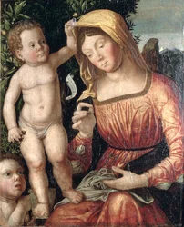 Madonna Sewing